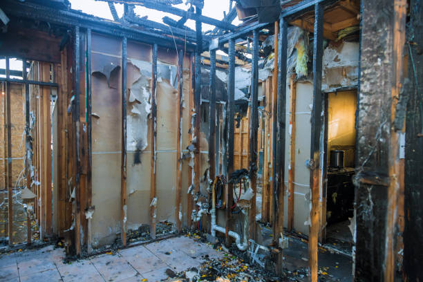 Professional Soot Cleanup technician working in Lake Sarasota, FL